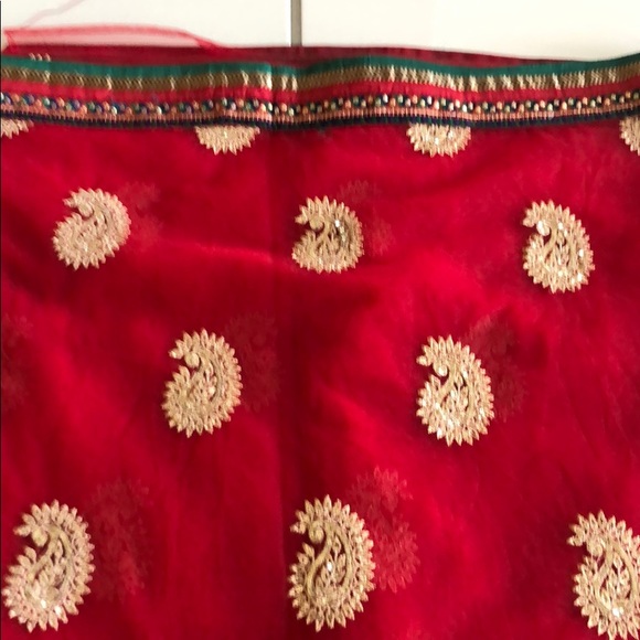 Final Sale- Indian Net Saree - Picture 4 of 8